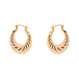 Domus Shell Hoop Earrings - Gold - Sodini Bijoux