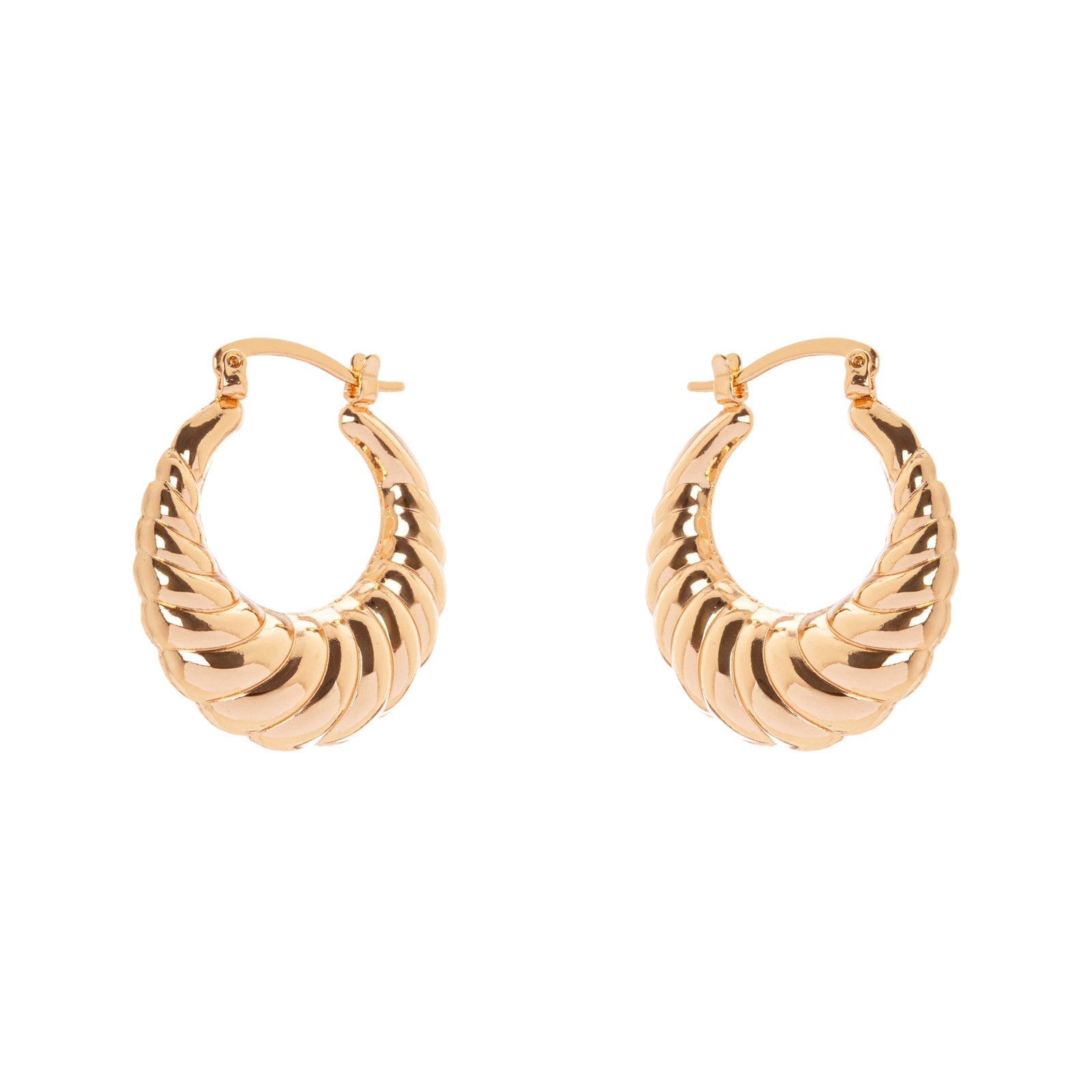 Domus Shell Hoop Earrings - Gold - Sodini Bijoux